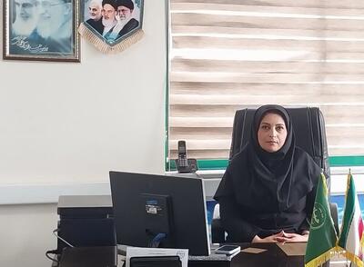  ۸ میلیارد ریال تسهیلات برای جهش مشاغل خانگی در نور