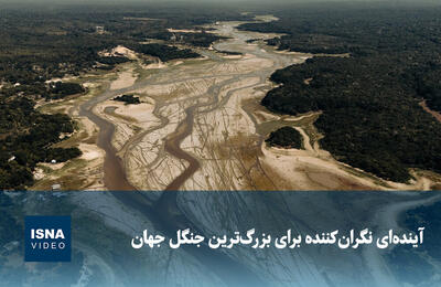  ویدیو/ آینده‌ای نگران‌کننده برای بزرگ‌ترین جنگل جهان