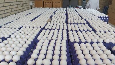  رشد ۶ درصدی تولید تخم‌مرغ در قزوین