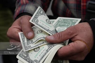 قیمت دلار فریز شد؛ فاصله رسمی و آزاد به نقطه حساس رسید