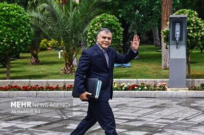  وزیر نفت: راه کنترل واردات بنزین، بهینه‌سازی مصرف است