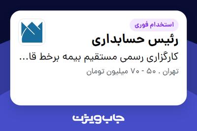  استخدام رئیس حسابداری در کارگزاری رسمی مستقیم بیمه برخط قاموس