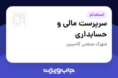  استخدام سرپرست مالی و حسابداری در سازمانی فعال در حوزه کالاهای الکتریکی و لوازم خانگی