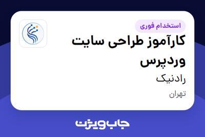  استخدام کارآموز طراحی سایت وردپرس در رادنیک