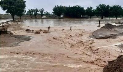  نمایی از خسارت سیل اخیر به کشاورزان هرمزگانی/ ویدئو