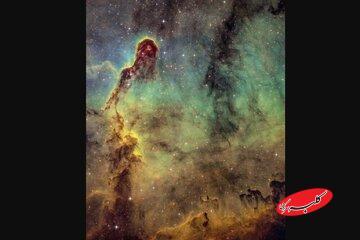  خرطوم فیل در آسمان! / عکس - کلبه سرگرمی