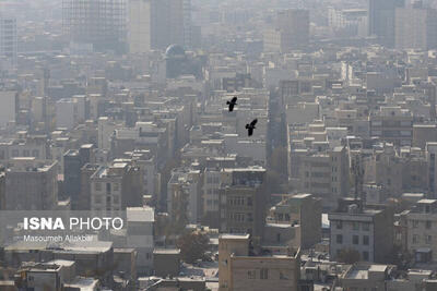 دلایل اختلاف آمار جهانی و داخلی از کیفیت هوای تهران