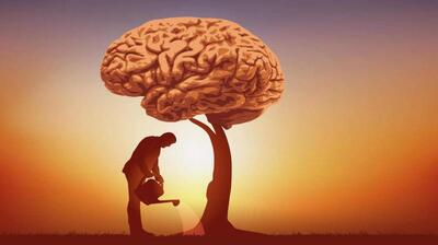 میگنا - حکمت عملی یا Practice Wisdom چیست ؟