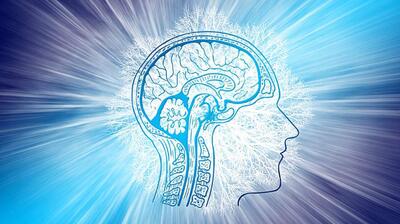 میگنا - نوروساینس شناختی آموزشی (Educational Cognitive Neuroscience) چیست ؟