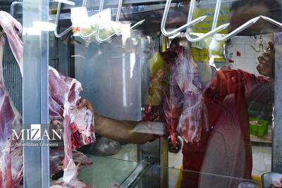 قیمت انواع گوشت گوساله و گوسفندی وارداتی و آزاد داخلی اعلام شد