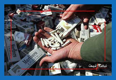 بازاری که از کنترل خارج شد؛ ۷۰ درصد تنباکوی مصرفی قاچاق است | سلامت مردم در خطر