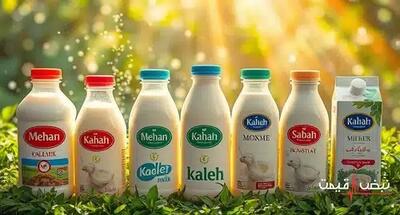 شیر لبنی، ماده حیاتی برای سلامتی با نوسانات قیمت نگران کننده | قیمت شیر لبنی امروز یکشنبه 14 دی 1404 + جدول قیمت