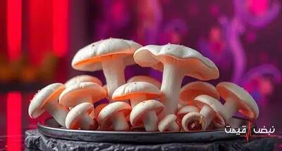 قارچ، گوشت گیاهی آینده با قیمتی که همه را شگفت زده کرد | قیمت قارچ امروز یکشنبه 14 دی 1404 + جدول قیمت