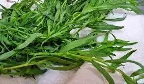  تحقیق درباره خواص و مضرات سبزی مرزه