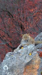 تماشای طبیعت، نه آزاردادن آن