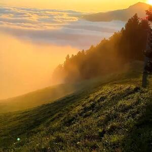  لحظه‌ های آرامش‌ بخش در آغوش طبیعت