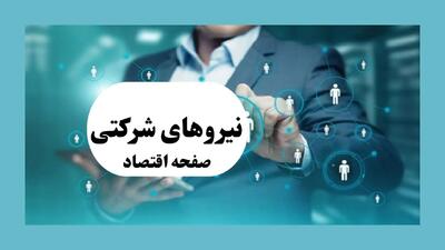 فرار تاریخی دولت از ساماندهی کارکنان: وعده‌های ۳۵ ساله‌ای که در گرداب فراموشی غرق شد