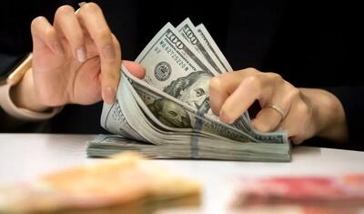  قیمت دلار مبادله ای امروز یکشنبه ۱۴ دی ۱۴۰۴ اعلام شد /  دلار ۱۳۱ هزار تومانی شد