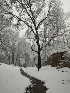 عکس: تصویری فوق زیبا از بارش برف در دماوند
