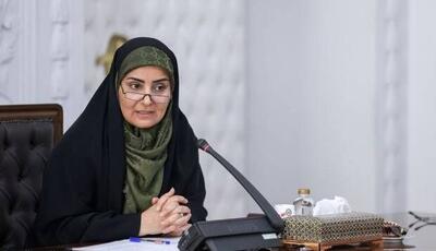 سرپرست جدید صندوق ملی مسکن منصوب شد