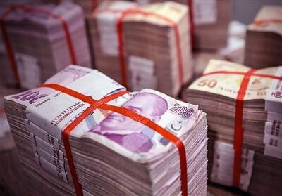 بانک‌ها، تنها برندگانِ بازی اقتصاد در ترکیه - تسنیم