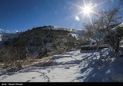 وقتی راه‌ها بسته است، بازدیدها باز می‌شود! - تسنیم
