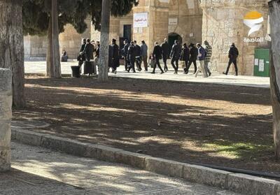 برنامه رژیم اسرائیل برای فشار بر فلسطینیان در ماه مبارک رمضان - تسنیم