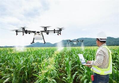 انرژی هسته‌ای و کشاورزی نوین؛ راهکاری برای کشاورزی پایدار - تسنیم