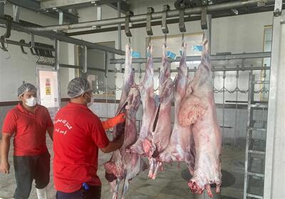 عرضه 191 هزار تن گوشت مرغ و 11 هزار تن گوشت قرمز سالم به بازار - تسنیم