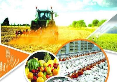 کاهش بارندگی و افزایش دما؛ تهدیدی جدی برای امنیت غذایی گلستان - تسنیم