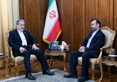 تاکید عراقچی بر پیگیری حقوق ایران در سازمان‌‌های بین‌المللی - تسنیم