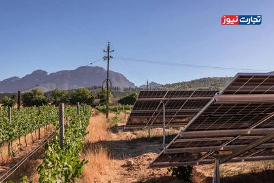 انرژی خورشیدی ارزان چگونه اقتصاد آفریقا را متحول کرد؟ / نقش پنل‌های چینی در عبور از بحران برق