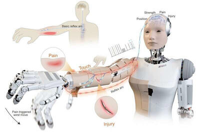  پوست هوشمند، ربات‌ها را از خطر دور می‌کند