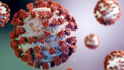 وضعیت قرمز آنفلوآنزا ادامه دارد / آنفلوآنزا فروکش نکرده است / هشدار جدی به شهروندان