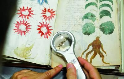  آیا مرموزترین کتاب جهان فقط یک «لاتین رمزنگاری شده» است؟