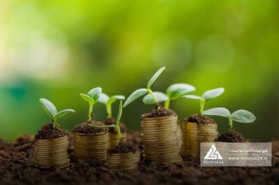 «تاصیکو» در خصوص عملکرد توضیح داد