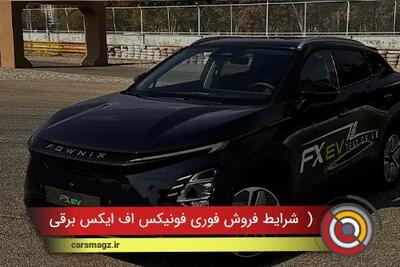  شرایط فروش فوری فونیکس FX برقی + دی 1404