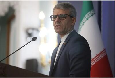 بقائی: ربوده شدن رئیس‌جمهور و همسر رئیس‌جمهور یک کشور، اصلاً جای افتخار ندارد