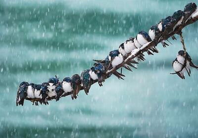 هشدار نارنجی هواشناسی برای تهران