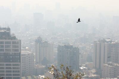 سازمان هواشناسی: آلودگی هوا در شهرهای صنعتی به مرحله خطرناک می‌رسد