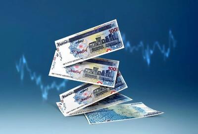 روزنامه دولت: طرح جدید یارانه با مجوز رهبرانقلاب اجرایی شده