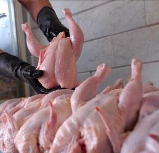 کامیونت حامل ۴ تن مرغ قاچاق در توقیف پلیس هرمزگان