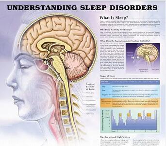یکی از علل مهم اختلال در کنترل تنفس