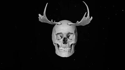  اِلک وجودی و بازی‌های ویدیویی | گیمفا