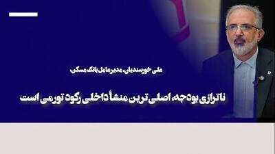  ناترازی بودجه، اصلی‌ترین منشأ داخلی رکود تورمی