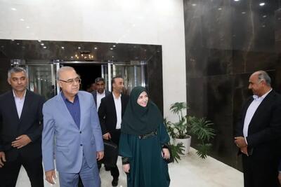  رئیس سازمان حفاظت محیط زیست وارد هرمزگان شد