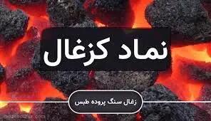  دو روایت از  کزغال ؛ افت درآمد در برابر رشد سود