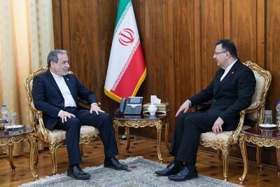 عراقچی: روابط ایران و گرجستان تاریخی و مبتنی بر پیوندهای نزدیک مردمی است