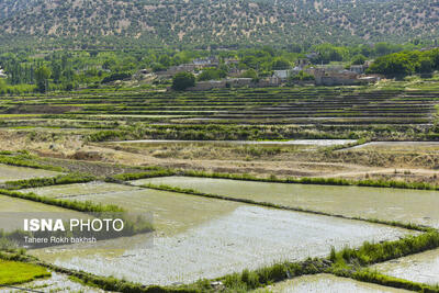  استان فارس در صدر لرزه‌خیزهای آبان ۱۴۰۴ قرار گرفت