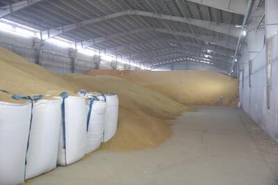  واردات بالغ بر ۸۴۰ هزار تن نهاده دامی از بنادر کاسپین و انزلی